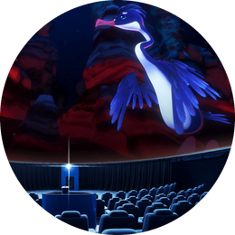 Sf&eacute;rick&eacute; kino s projekc&iacute; animovan&eacute;ho modr&eacute;ho kormor&aacute;na Tokla z filmu H2O: Když voda vypr&aacute;v&iacute;.