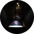 Pseudohologram